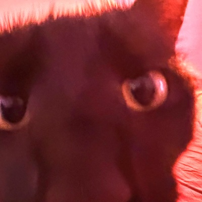 @fluepke@chaos.social